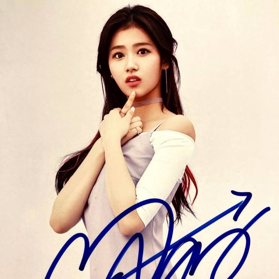 Amazon.co.jp: サナ直筆サイン入り2Lサイズ写真…TWICE‥SANA… : おもちゃ