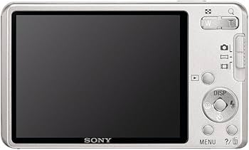 Amazon.com : Sony Cyber-Shot DSC-W560 14.1 MP Digital Still Camera
