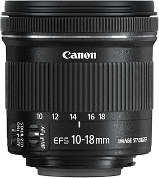 Amazon.com : Canon EF-S 10-18MM is STM Lens : Electronics