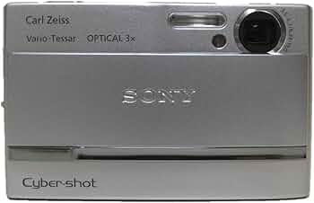 61hcST6uMzL._AC_UF350,