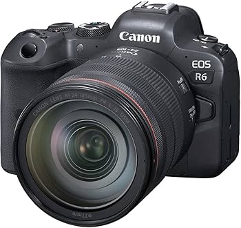 Amazon.com : Canon EOS R6 Mirrorless Digital Camera with 24-105mm