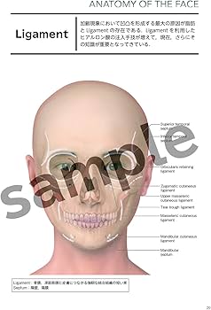 Amazon.co.jp: 解剖から学ぶ ヒアルロン酸注入療法 : 古山登隆, 古山登