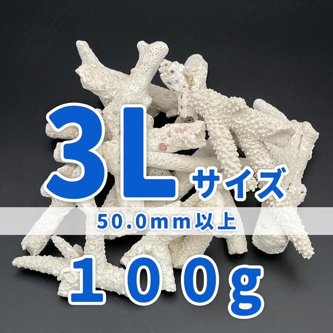 Amazon | パラオ産 サンゴ砂 パラワンサンド 【3Lサイズ 100g