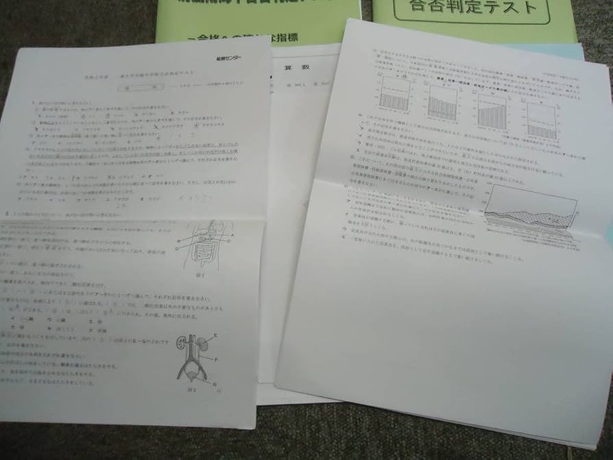 能開センター 星光 東大寺 西大和 模試 合否判定テスト 能開センター