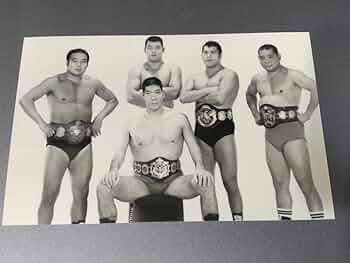 61i6Q0gi8NL._AC_UF350,