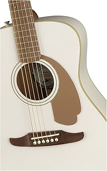 Amazon | Fender エレアコ Malibu Player, Arctic Gold ソフトケース