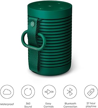 Amazon.com: Bang & Olufsen Beosound Explore - Wireless Portable