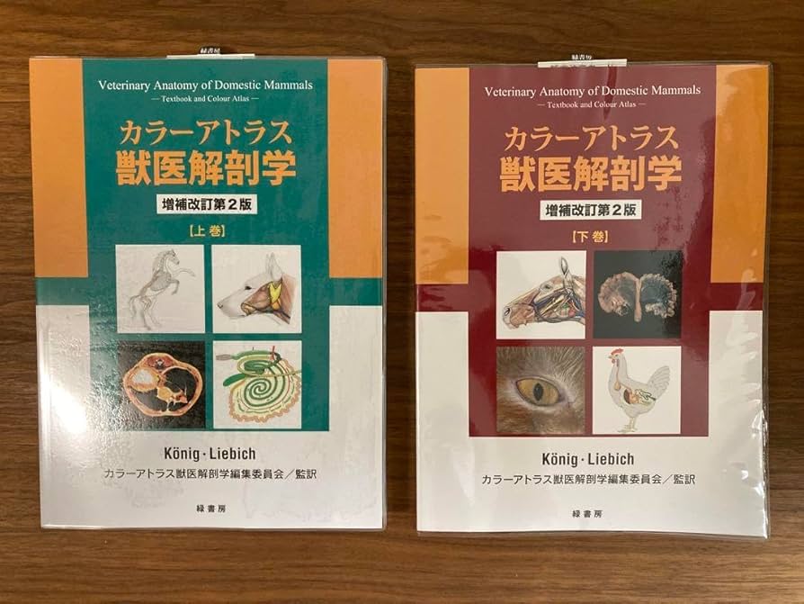 Amazon.co.jp: 上巻下巻セットカラーアトラス獣医解剖学 増補改訂第2版