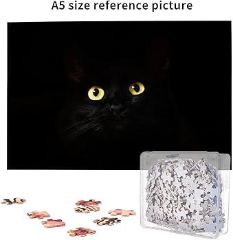 61jVpFG7Z6L._AC_UF350,