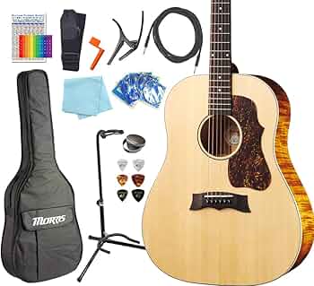 Amazon | モーリス エレアコ MORRIS G-021E 初心者 入門 13点 セット