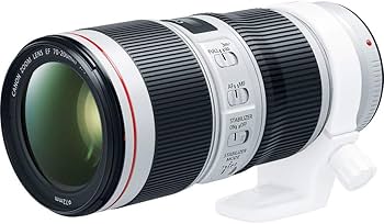 Amazon.com : Canon EF 70-200mm f/4L IS II USM Lens for Canon