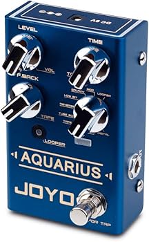 Amazon.com: JOYO R-07 Aquarius Digital Delay Pedal Bundle with JP