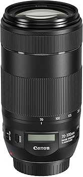 Canon EF 70-300mm f/4-5.6 is II USM Lens (Renewed) : Amazon.ca