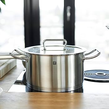 Amazon｜ZWILLING ツヴィリング 「 プロ ストックポット 24cm (ガラス