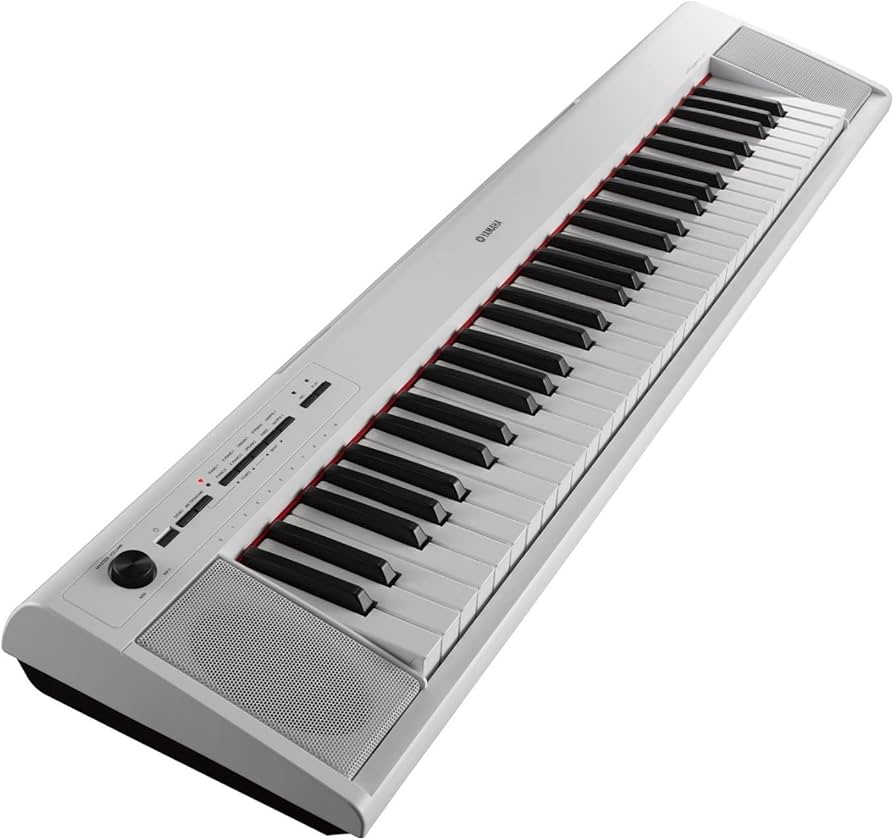 Amazon.com: Yamaha NP12 61-Key Lightweight Portable Keyboard