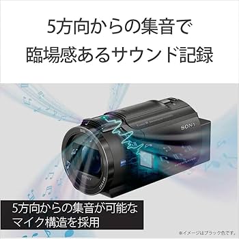Amazon | SONY(ソニー) 4K ビデオカメラ Handycam FDR-AX45(2018年