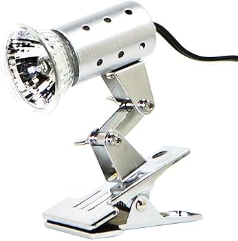 Amazon | ゼンスイ マイクロサン マイクロンセット 28W | ゼンスイ