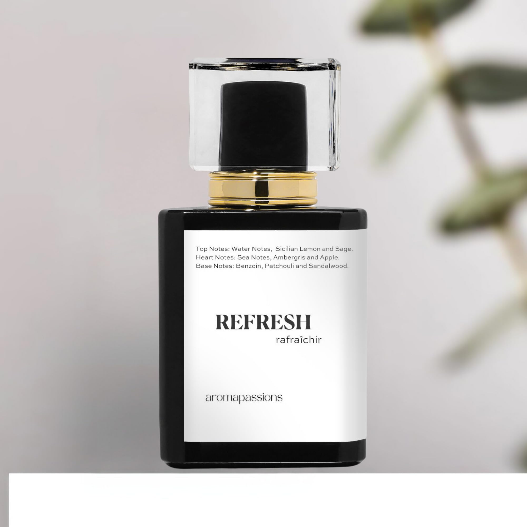 Amazon.com : REFRESH | Inspired by BVLG AQVA POUR HOMME ATLANTIQVE