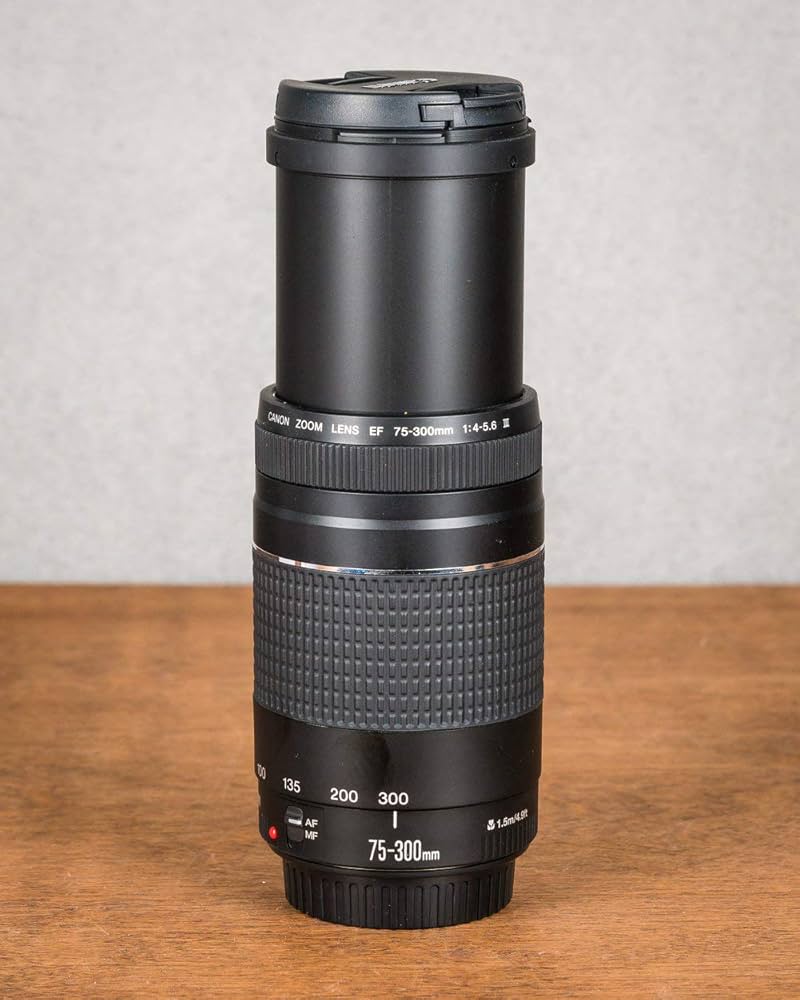 Amazon.co.jp: CanonレンズEF 75 – 300 mm 4 – 5.6 III、6473 a015aa