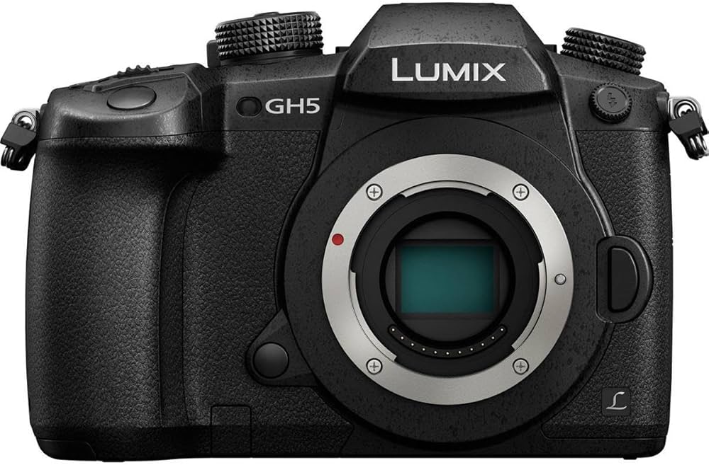 Amazon | PANASONIC LUMIX GH5 ボディ 4K ミラーレスカメラ 20.3メガ