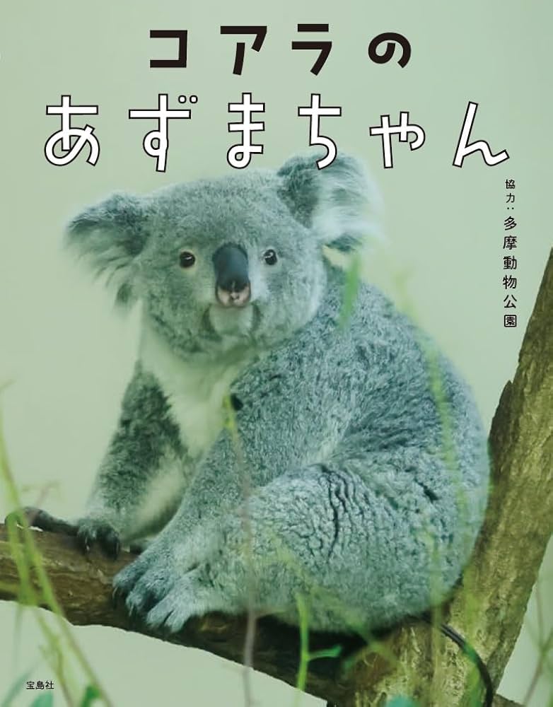 コアラのあずまちゃん | 協力：多摩動物公園 |本 | 通販 | Amazon