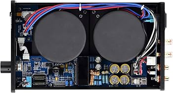 Amazon | Topping デジタルアンプ 【TP60】 DAC、Tripath TA2022を採用