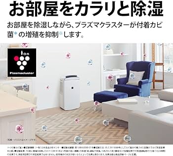 61mJTSG4VSL._AC_UF350,