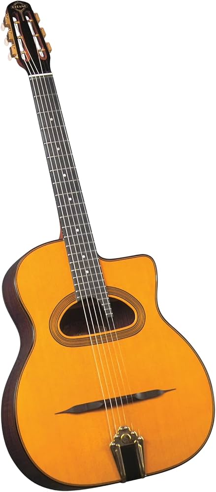 Amazon.co.jp: gitane d-500 Gitane Professional Gypsy Jazz Guitar