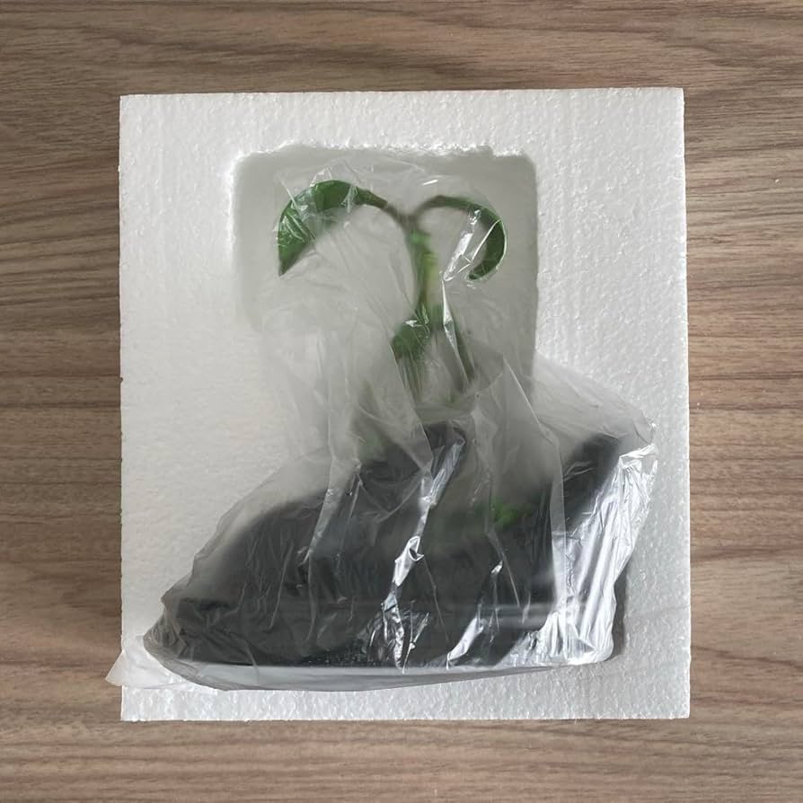 大阪コミコン ファンタビくじ ラストワン賞 手のりピケット フィギュア