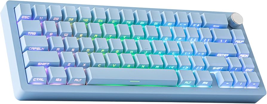 Amazon.com: EPOMAKER Tide65 QMK/VIA Wireless Gaming Keyboard, 65