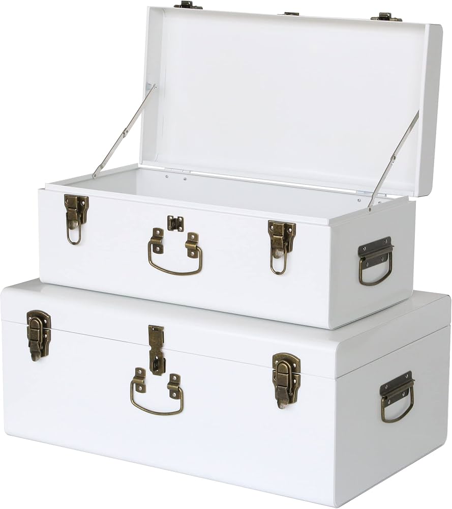 Amazon.com: Vixdonos Decorative Metal Box Storage Trunks Set of 2