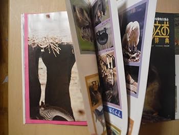 Amazon.co.jp: A コペル21 1983年4月創刊号 21世紀への科学マガジン