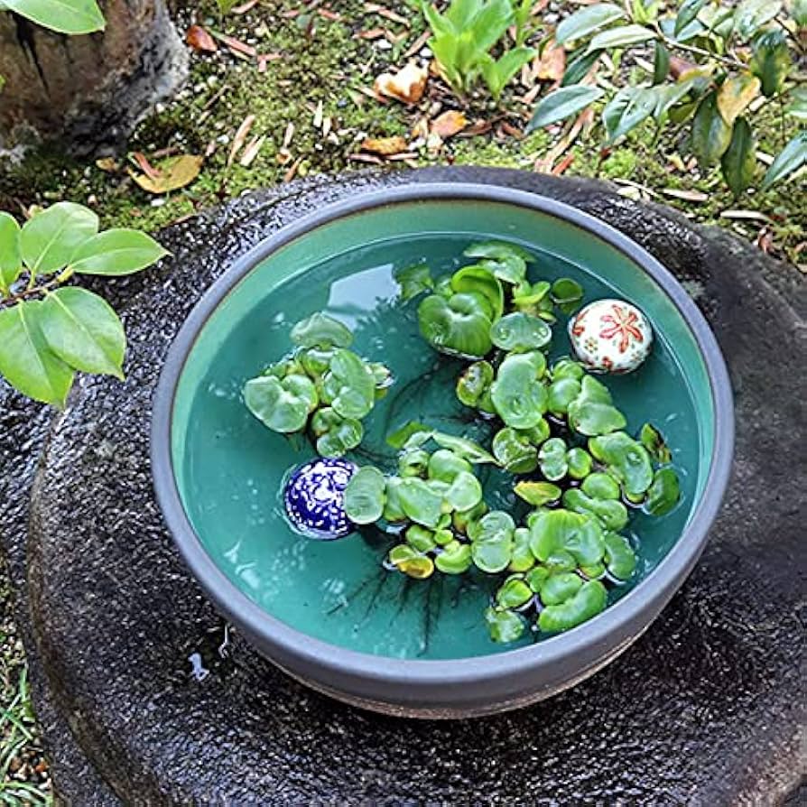 Amazon.co.jp: 信楽焼 睡蓮鉢【13号はけ目水鉢 su-0251】すいれん鉢 蓮