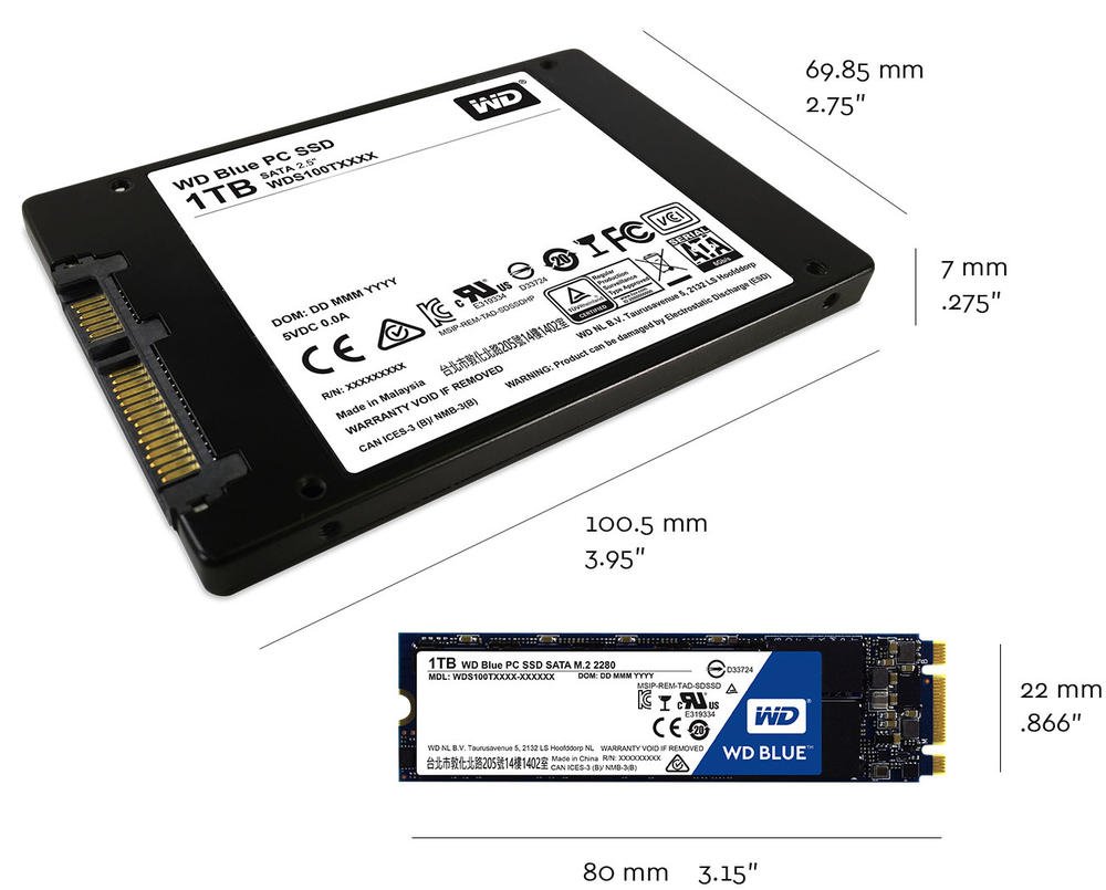 Amazon.co.jp: WD SSD 内蔵SSD M.2 2280 1TB WD Blue WDS100T1B0B