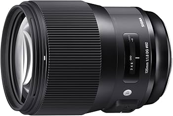 Amazon.co.jp: シグマ(Sigma) SIGMA シグマ Nikon Fマウント レンズ