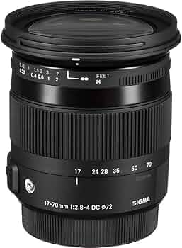 Amazon.co.jp: SIGMA 17-70mm F2.8-4 DC MACRO HSM | Contemporary