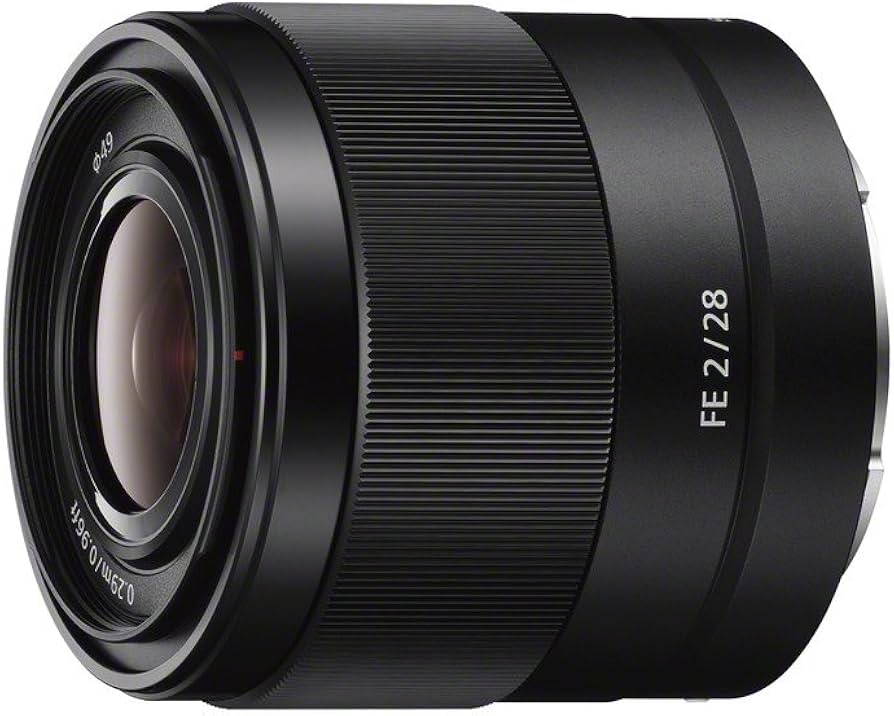 Amazon.com : Sony SEL28F20 FE 28mm f/2-22 Standard-Prime Lens for