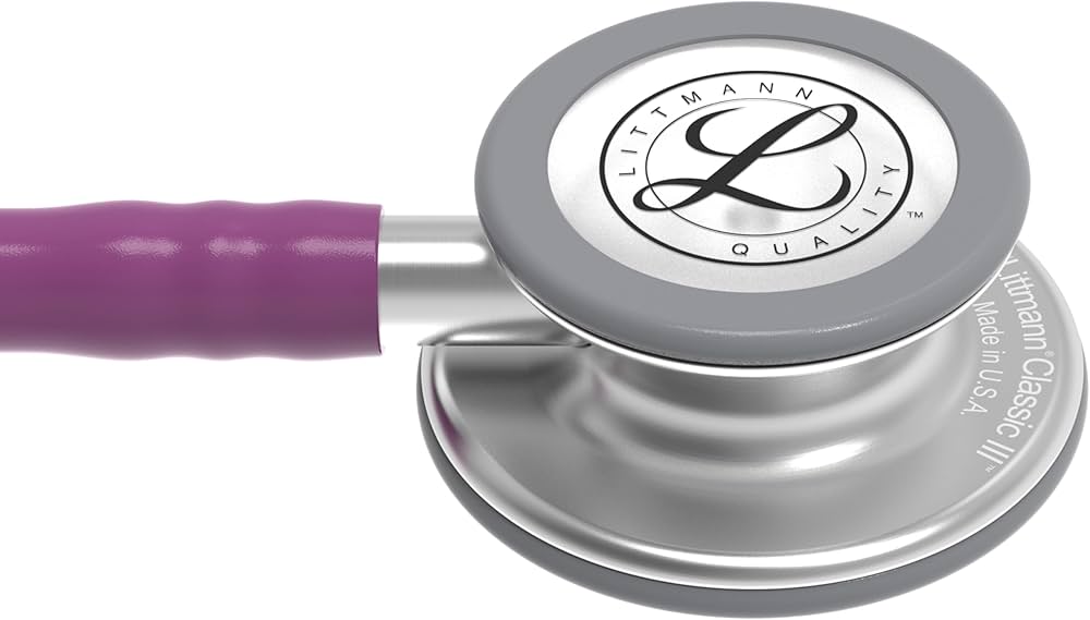 61pIsjeSRaL._AC_UF1000,