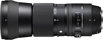 Amazon.co.jp: シグマ(Sigma) レンズ 150-600mm F5-6.3 DG OS HSM