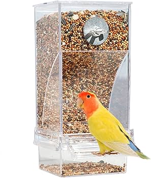 Amazon | 鳥 餌入れ 自動 1個入り 透明 鳥 自動給餌器 大容量 インコ