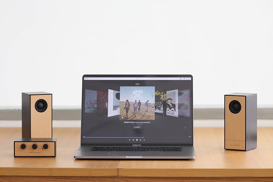 Amazon.co.jp: R4（アール4） DIYオーディオシステム DIY Audio System