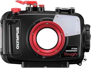 61qSZLPG5zL._AC_UF350,