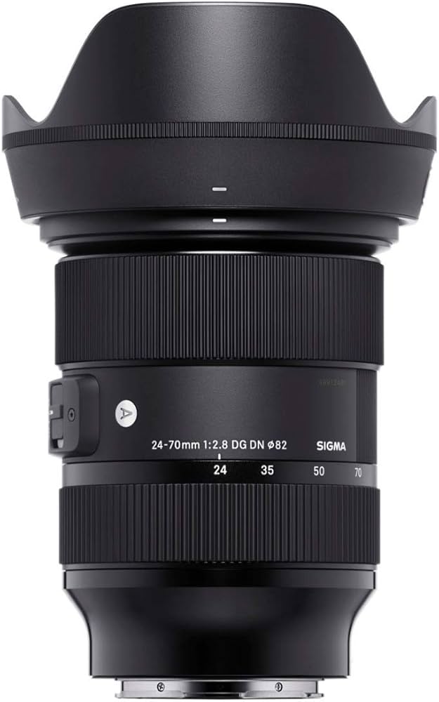 Amazon.com : Sigma 24-70mm F2.8 DG DN Art for L Mount : Electronics