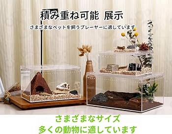 Amazon | RoBeKaU レプタイルボックス 爬虫類 飼育ケース 虫かご 大