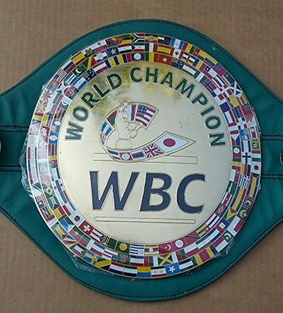 Amazon | WBCチャンピオンベルトレプリカ大人用プレミアム品質