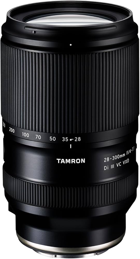 Amazon.com : Tamron 28-300mm F/4-7.1 Di III VC VXD for Sony E