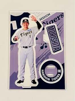 61rULvhWiOL._AC_UF350,