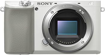 Amazon | SONY(ソニー) ミラーレス一眼 α6100 ダブルズームレンズ