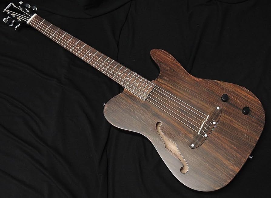 Amazon | SCHECTER OL-FL-P RNT Oriental Line シェクター 薄胴