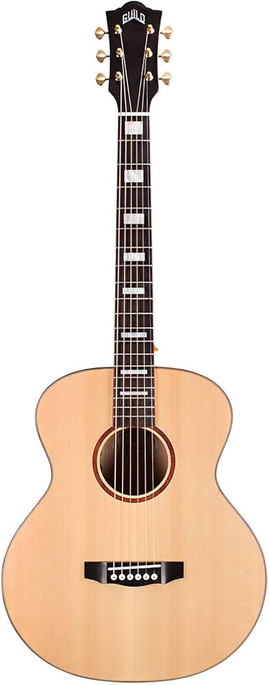 Amazon.co.jp: GUILD (ギルドギター) エレアコギター アーチバック